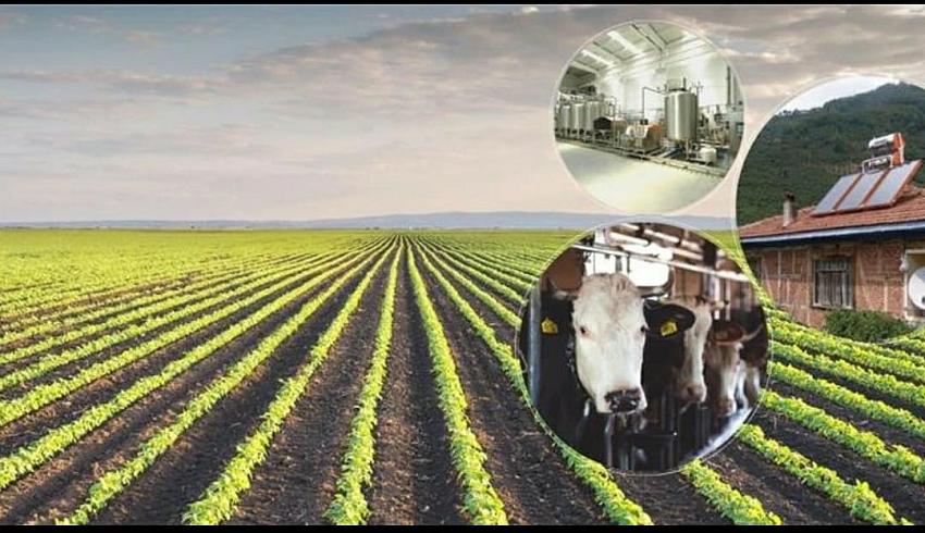 Yatırım Zamanı: 10 Milyon Hibe Verilecek