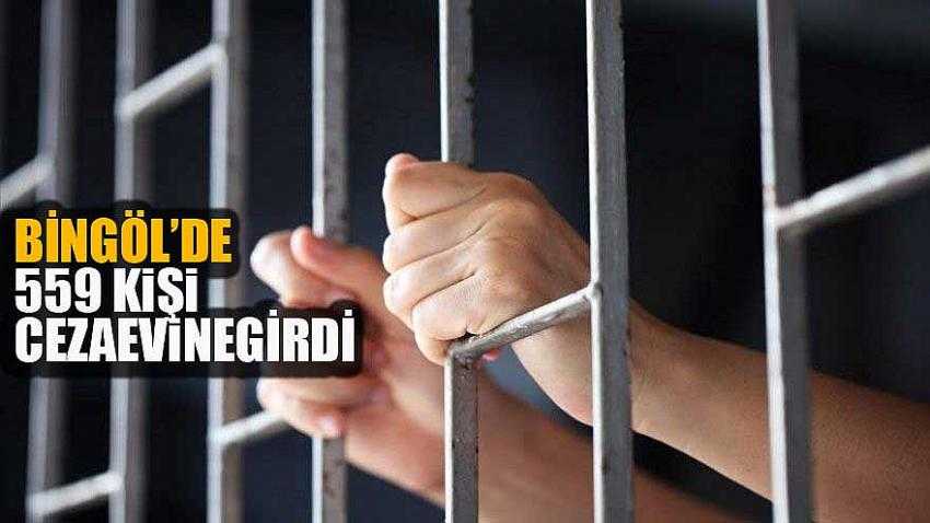 BİNGÖL’DE 559 KİŞİ CEZAEVİNE GİRDİ
