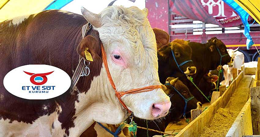 ESK, SATILAMAYAN KURBANLIKLARI ALACAK