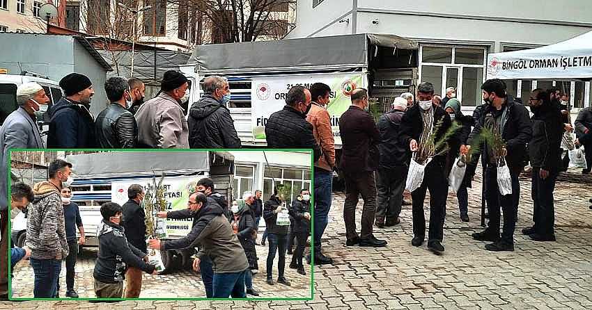 5 BİN ADET FİDAN DAĞITILDI