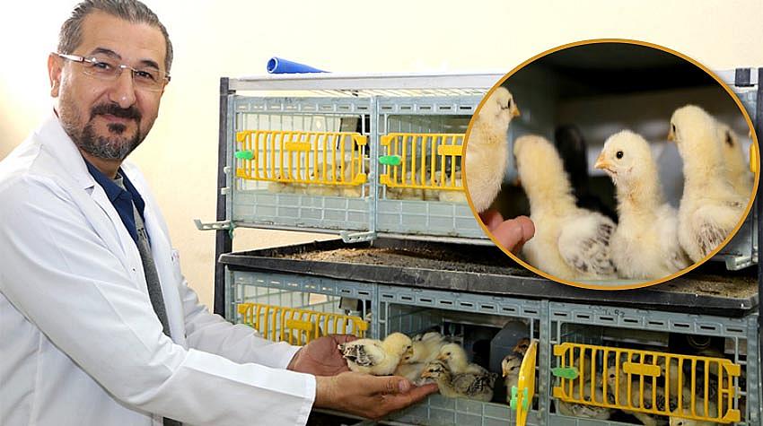 ÜNİVERSİTE KULUÇKA MERKEZİ HİZMET VERMEYE BAŞLADI