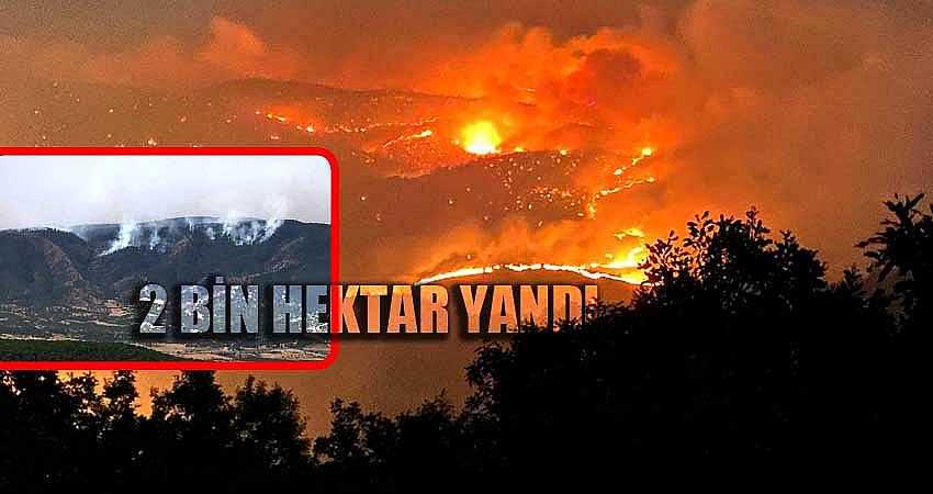 2 BİN HEKTAR YANDI